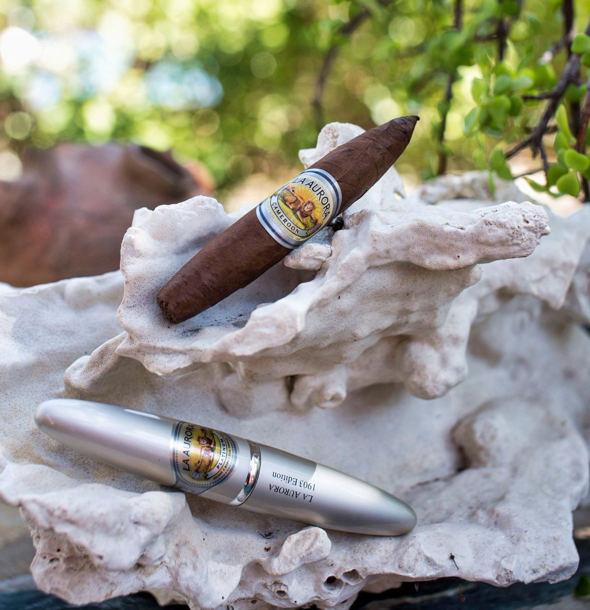 LaAuroraCigars's tweet photo. Haz que cada día tenga algo especial. La Aurora Preferidos Doble Figurado Tubo Platinum (Cameroon) lleva #tabacos de Camerún, República Dominicana y Brasil para ofrecerte una fumada picante con toques dulces y notas de canela, cacao y café #LaAuroraCigars #DominicanDefined #cigar https://t.co/mPDRcBg2o2