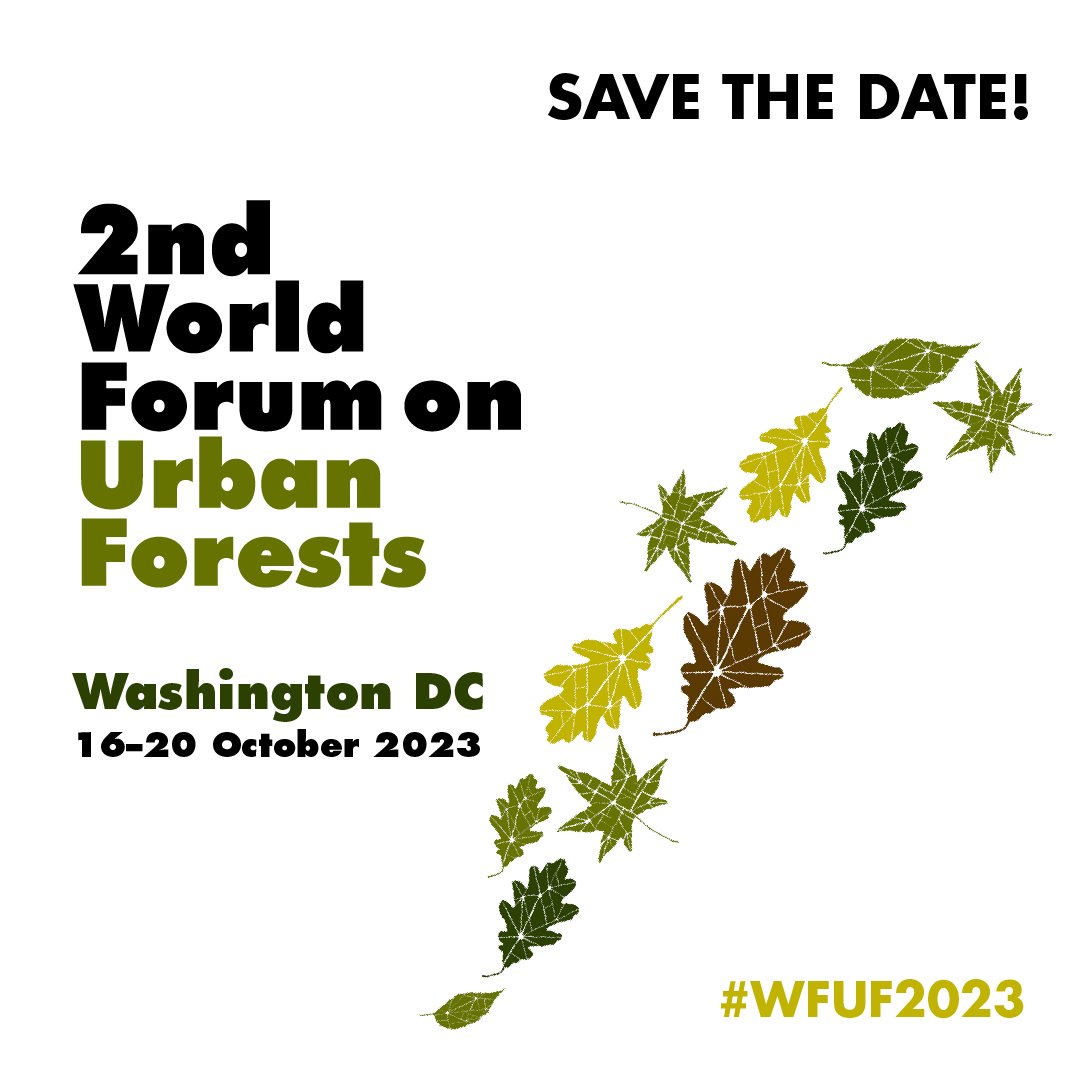 FAO Forestry tweet media