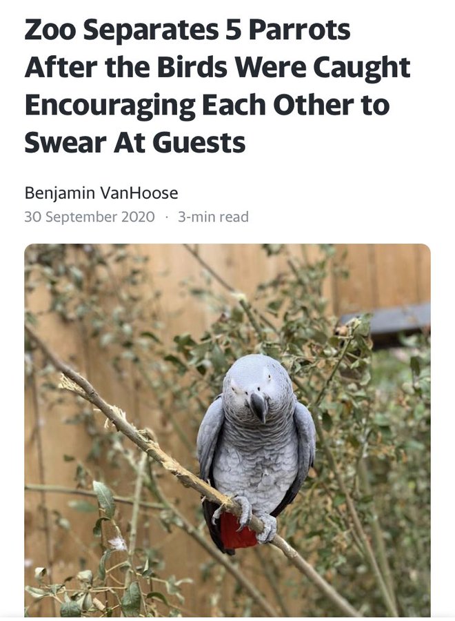 Crap Local News tweet media