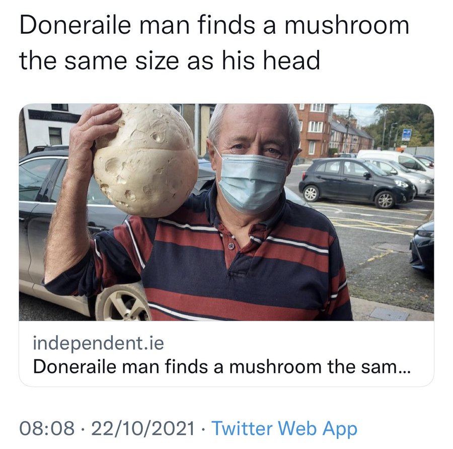 Crap Local News tweet media