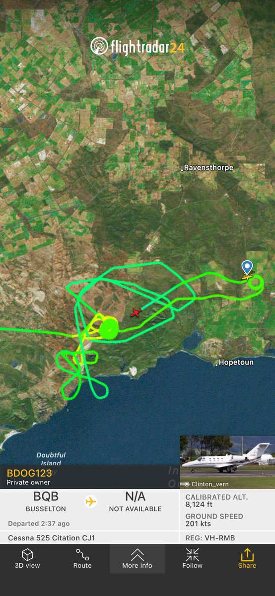 Flight Info & Alerts tweet media
