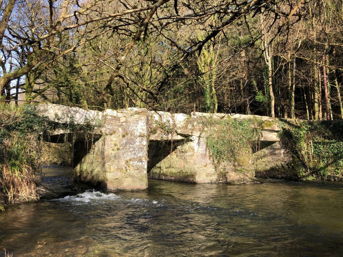 thepiskietrap's tweet photo. Took a little wander yesterday to Starabridge, where there's a fine example of a Medieval Clapper Bridge across the river Lynher. https://t.co/a5y7zcLaLa