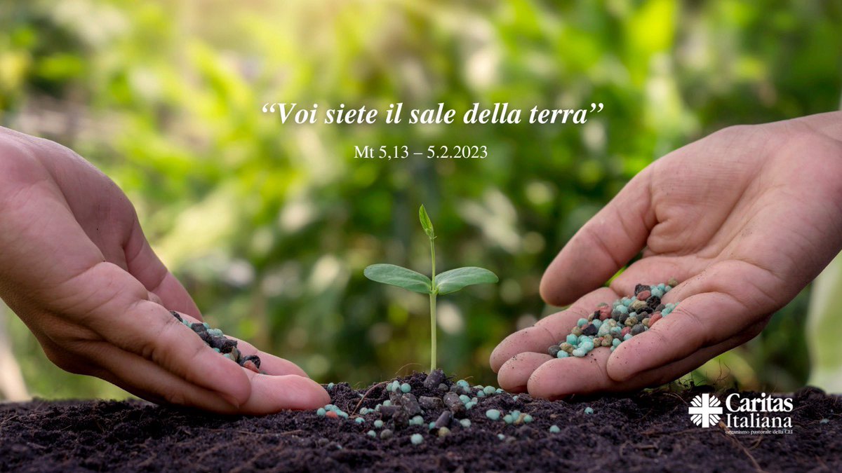 ''Voi siete il sale della terra. Voi siete la luce del mondo''
