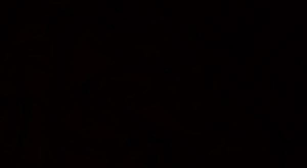 Starknet | Türkiye tweet media