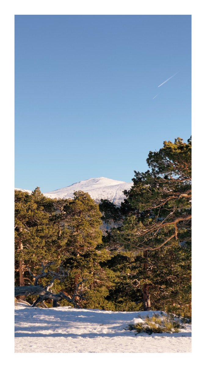 PLG97's tweet photo. -Navacerrada- https://t.co/odUaySB31c