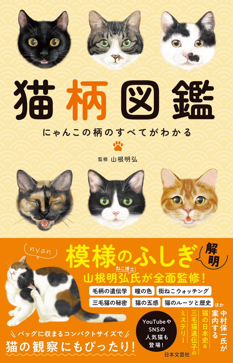 FoRhWOFaUAIoN_h?format=webp&