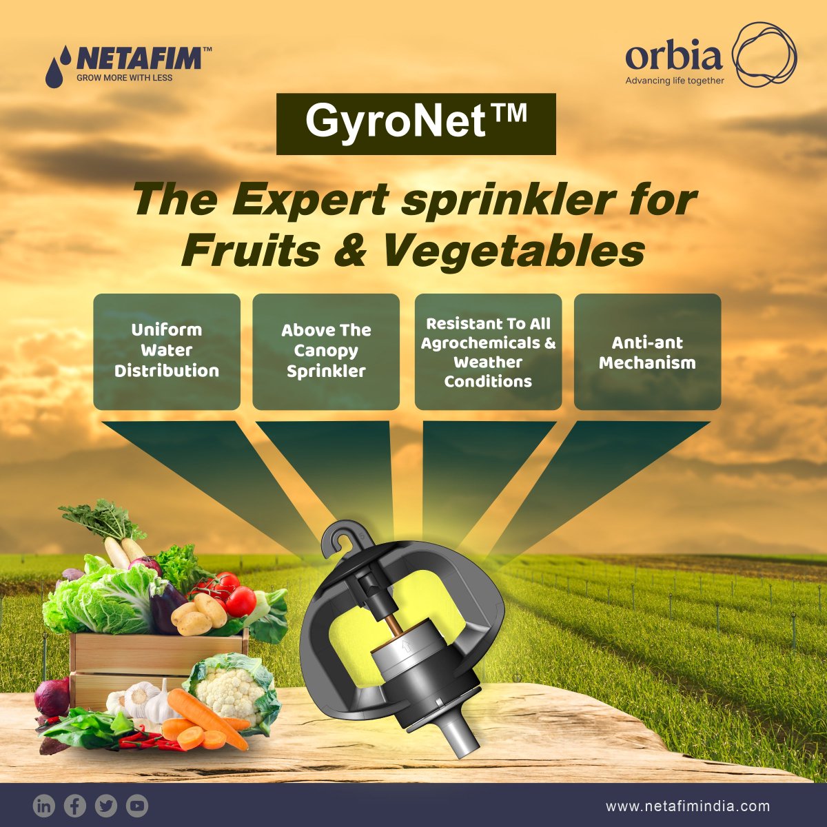 NetafimIndia's tweet photo. It's mini but is very effective! Try our uniquely created Gyronet sprinkler that irrigates tree plantations with large root volumes like orchards & is widely used by farmers for vegetable irrigation.
Visit - https://t.co/vE40ZNZxTQ
#gyronet #Sprinkler #sprinklerirrigation https://t.co/U0IIq8SqF1