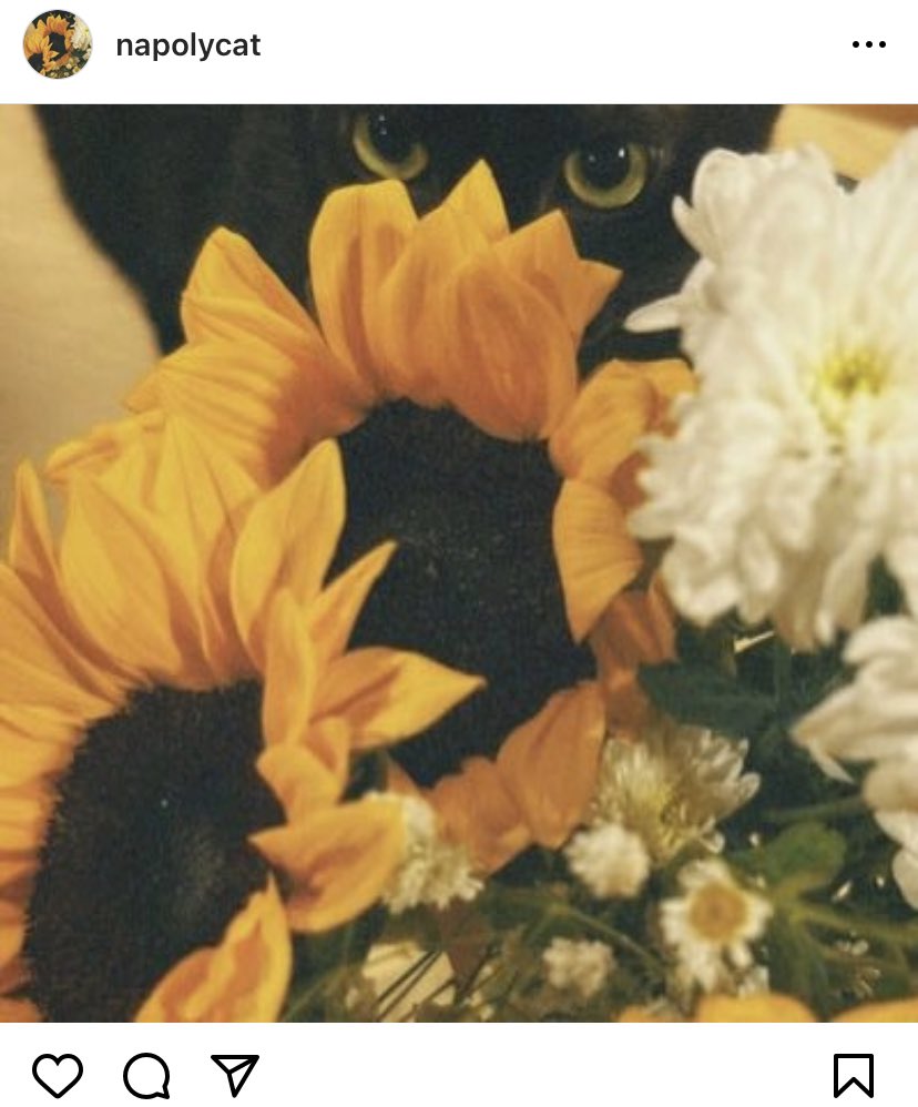 ศิลปินร่วมกันโพสรูปดอกทานตะวัน สนับสนุน #คืนสิทธิประกันตัว
- Polycat
- เอ้ The Voice
- จ๋าย ไททศมิตร
- ไม้หมอน
- พัด Zweed n’ roll
- ลูกพีช
- De Flamingo 

#ตะวันแบม 
#ปล่อยให้ดอกทานตะวันได้รับแสง