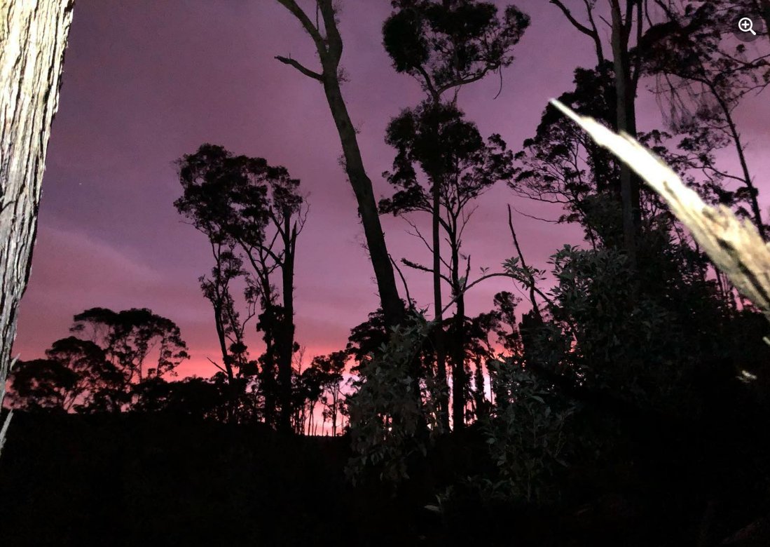 E_R_Australia's tweet photo. Never get tired of #spotlightingsurvey #sunsets! #lifeinthefield https://t.co/reeUXUMCMk