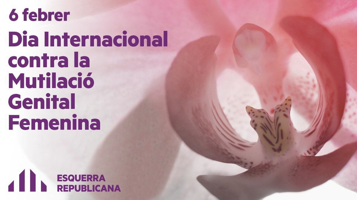 💔 Avui és #DiaContraLaMutilacióGenitalFemenina . És hora de posar fi a aquesta pràctica cruel i nociva. Hem de lluitar per la igualtat de gènere i el fi de la FGM. #NoMésMutilacions #IgualtatDeGènere #EndFGM