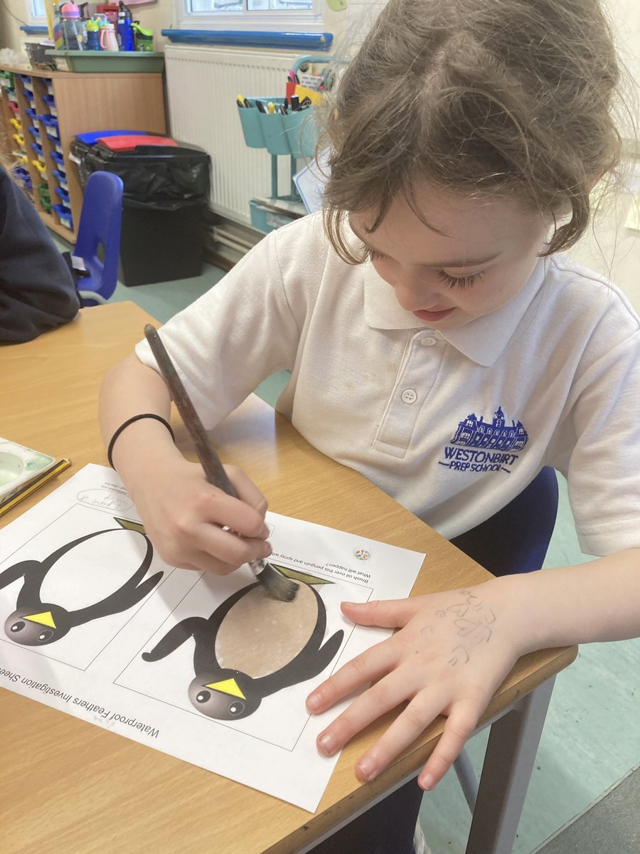 WestonbirtPrep's tweet photo. In Science, Year 2 investigated how the oil on a penguin’s feathers helps them to survive in cold climates. They discovered that the oil provides a waterproof coating allowing the water to run off their bodies.
#westonbirtprep #prep #westonbirtpupils #animal #animalknowledge https://t.co/mxGbLuHl4z