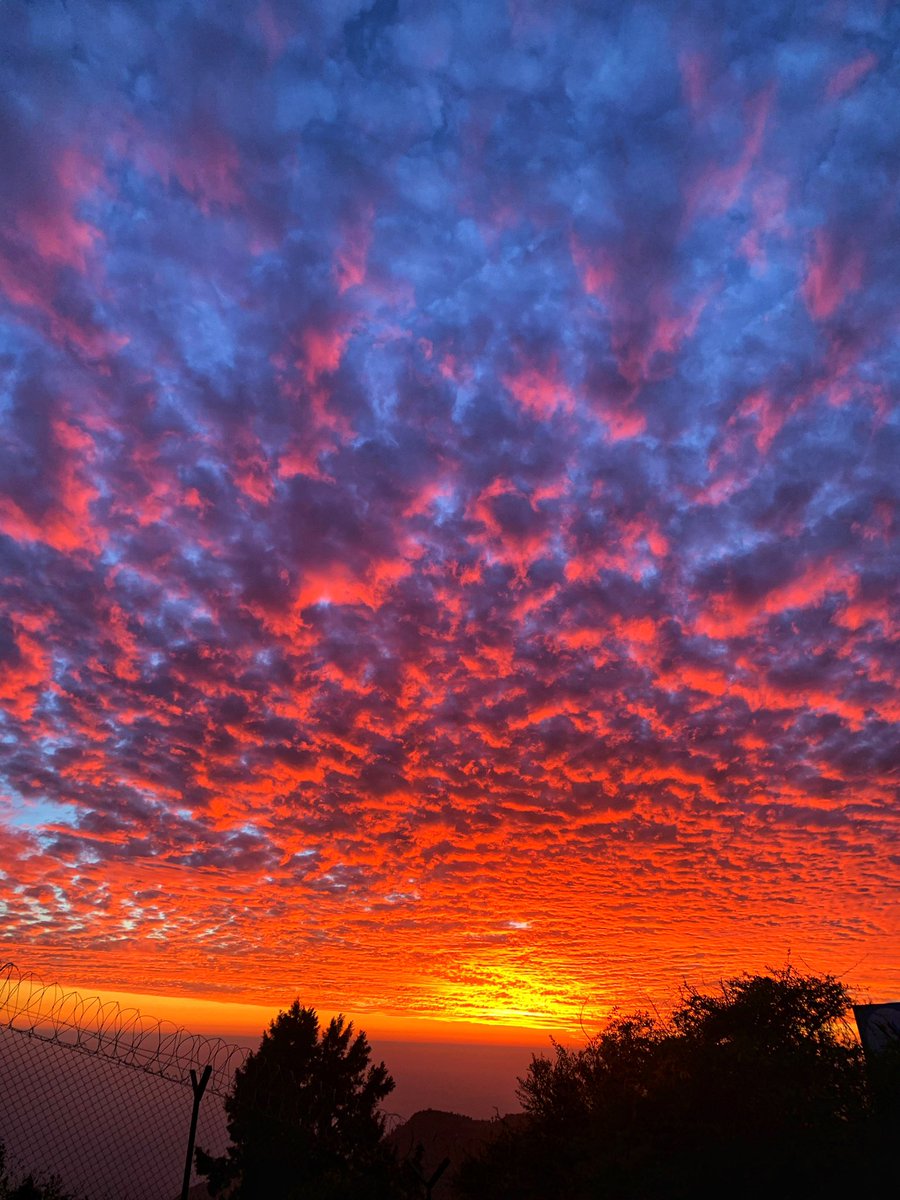 Sisters vs Globe tweet media