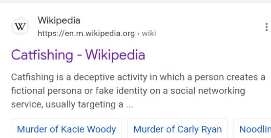 An adult pretending to be a child online chatrooms Facebook Waplog Skout etc to catch suspected peadophile but they're not peadophiles  disgusting 

Using Someone elses identity is fraud
