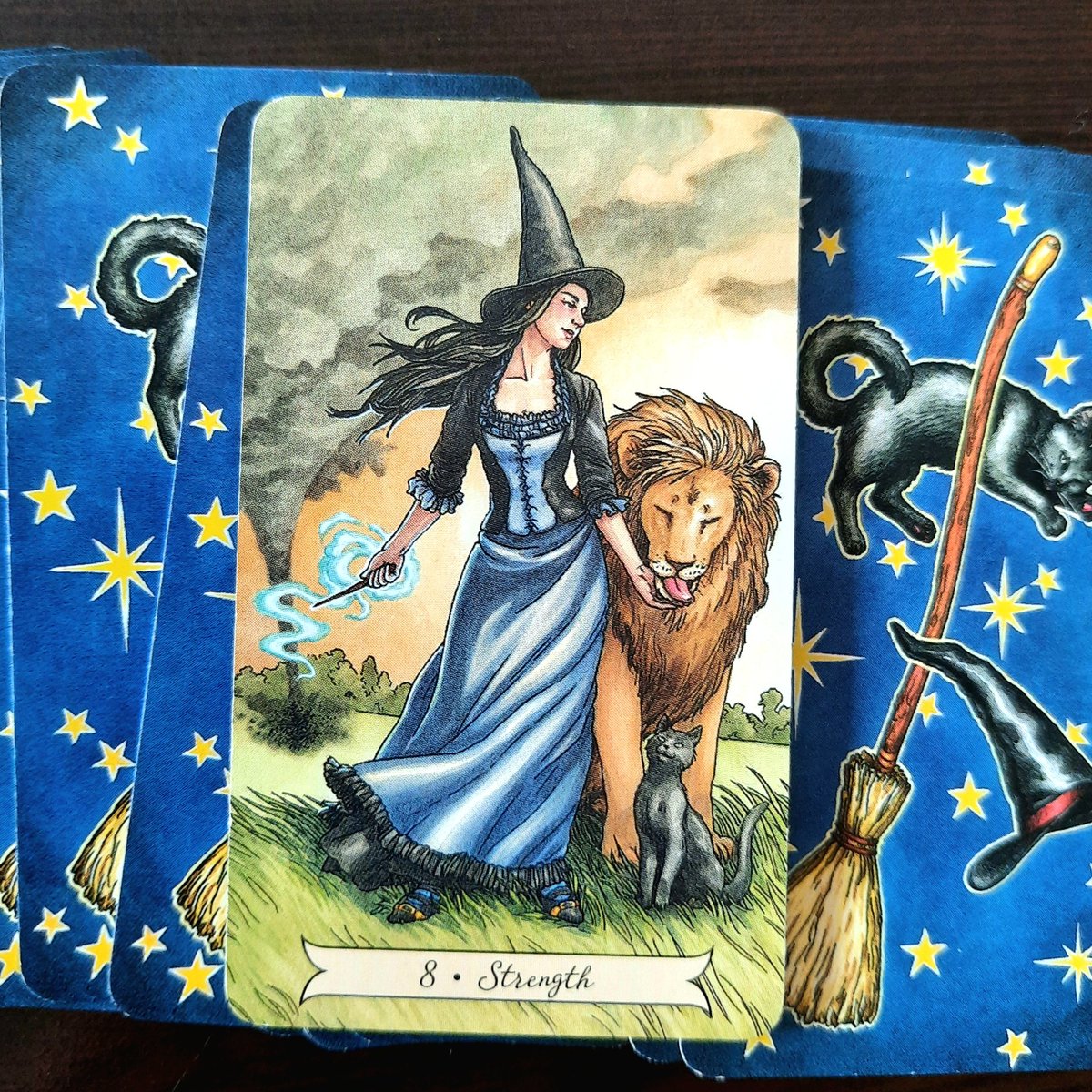 Card of the Day: Strength. You can't always choose what happens, but you can always choose how you react. When the storm rages around you, maintain your inner peace. #dailytarot #dailydivination #amtarot from The Everyday Witch Tarot by @deborahblake and @elisabethalba