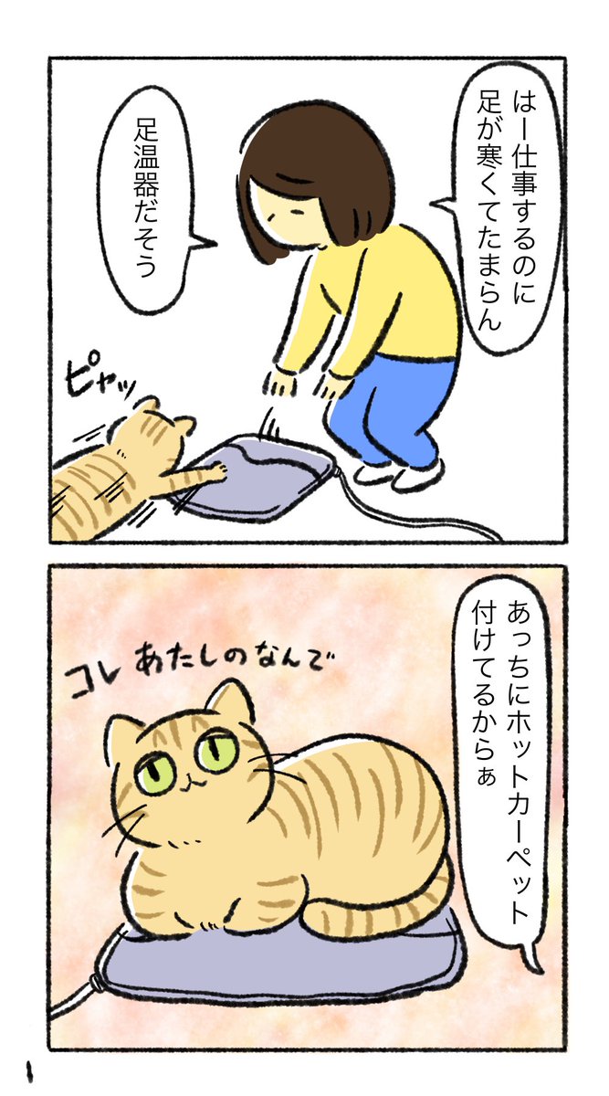 あったか〜い🐱 