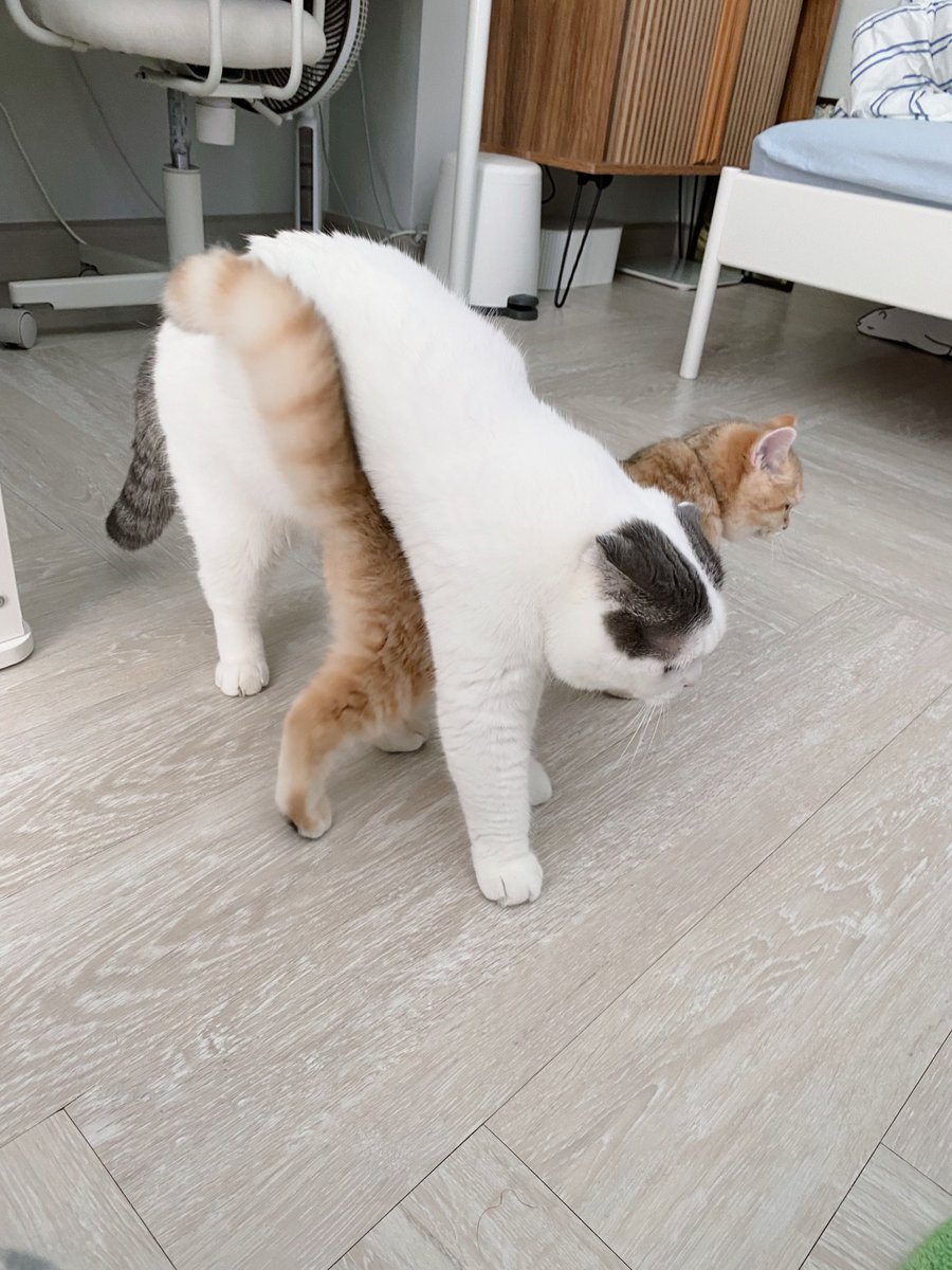 jiewliewnjiggo's tweet photo. ทางเดินมีเยอะแยะ แต่… https://t.co/r2usueOgit