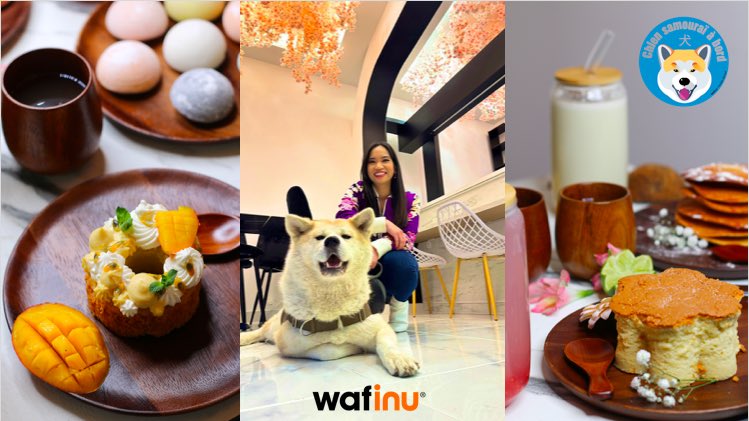 Wafinuwafmiaou's tweet photo. Wafinu arrive sur la capitale🐶

Retrouvez nos autocollants Akita et Shiba au nouveau salon de thé « Chez Yumi », par @Kayane !

128 Rue Saint-Maur, Paris 11
Du Mardi au Samedi 12h-19h30

Comme d’hab, vos achats se transformeront en dons à destination de refuges indépendants 🐕🐈 https://t.co/2dPzC1AcMW