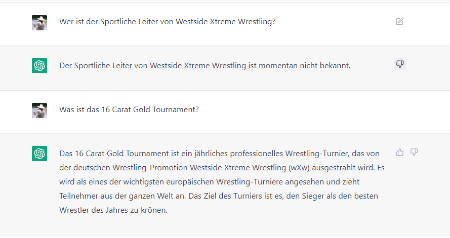 diskokingfranky's tweet photo. Also die wichtigen Dinge hat #ChatGPT durchaus drauf! #wXw16Carat @wXwGermany https://t.co/RouV5obire