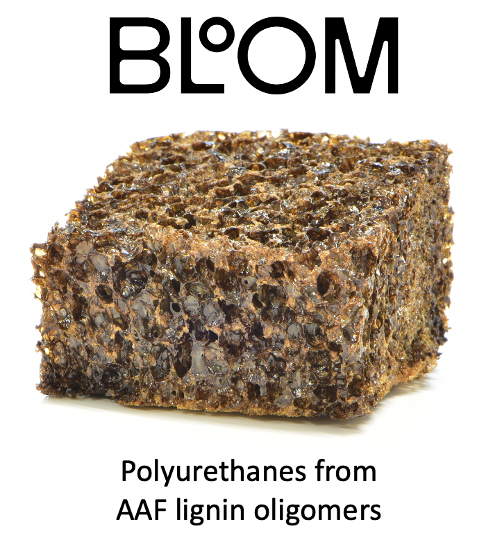Well-defined AAF ingredient enables a high substitution of petro-based content, with properties and a price matching current market standards. This is one of many example where Bloom supports customers in designing future-proof products.

The future does not exist. We design it.
