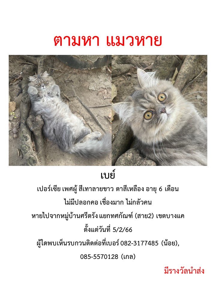 g ‎🍮 ¨̮ arirang ♥⁷ tweet media