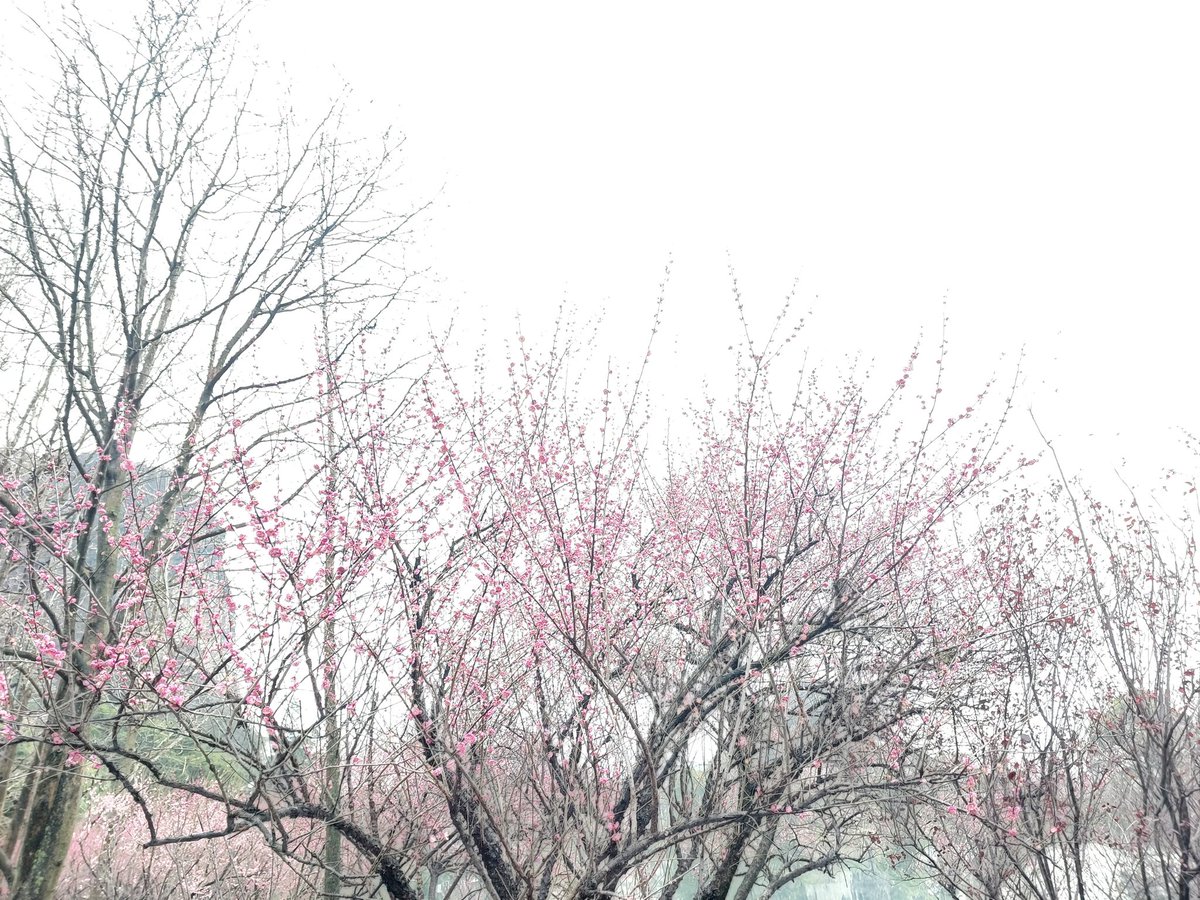 แผ่นดิน (@thewlxpd) on Twitter photo 