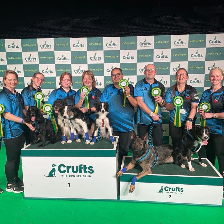 MFlyball's tweet photo. @clarebalding not long now till we see you again @Crufts. https://t.co/RlQy57KNsp