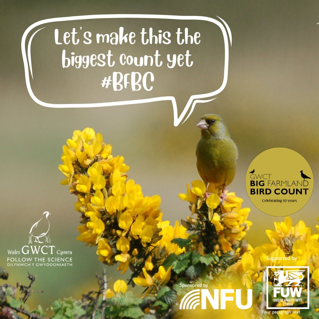 ☀️Happy Monday to you all!

😎Sun's out, perfect weather for the #bfbc🪶- it only takes 30 minutes!

How? 🔗in bio

☀️Bore dydd Llun hapus bawb! 

😎Ma'r haul yn gwenu, tywydd perffaith ar gyfer Cyfrif Mawr Adar Ffermdir 🪶- mae'n cymryd 30 munud!

Sut? 🔗yn ein bio