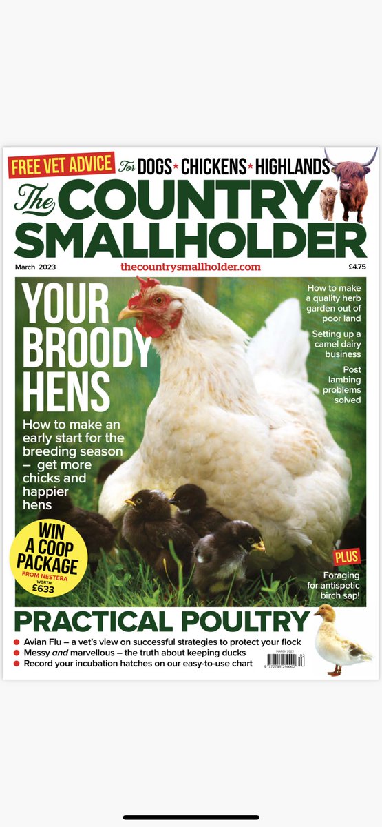 CarolODonoeg's tweet image. As spring and the lambing season approaches ⁦@Cartmells⁩ Agricultural lawyer Mark Jackson covers the legal aspects of dog attacks on livestock thecountrysmallholder.com #dogattacks #livestock #lambingseason #agri