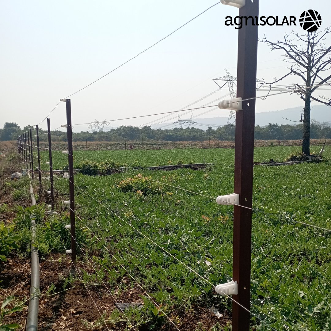 Agni_Solar's tweet photo. "Keep your farm #safe and #sustainable with Agni Solar Fencing Posts - harnessing the power of the sun to #protect your land." #sunforeveryone 
#solarenergy #farming #solarexperts #ruralelectrification #cropprotection #ruralempowerment #bottomofthepyramid 
#savings #offgridsolar https://t.co/xmGxbmdsLu