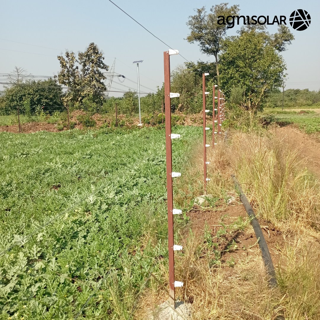 Agni_Solar's tweet photo. "Keep your farm #safe and #sustainable with Agni Solar Fencing Posts - harnessing the power of the sun to #protect your land." #sunforeveryone 
#solarenergy #farming #solarexperts #ruralelectrification #cropprotection #ruralempowerment #bottomofthepyramid 
#savings #offgridsolar https://t.co/xmGxbmdsLu