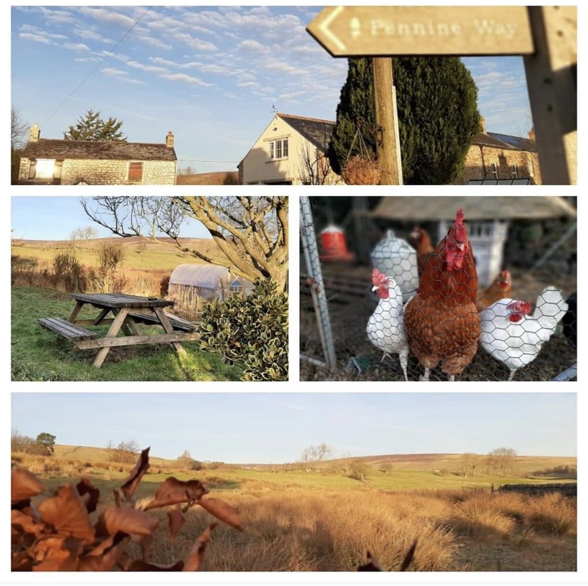 CountryPennine's tweet photo. Stunning area to visit, cosy cottages, welcoming pubs with roaring fires 🔥, dog friendly, Country and Riverside walks.
Featured - The Boat House, Slaggyford. On the Pennine Way, garden, fabulous scenery, garden and fresh eggs, #cottages  #holidays https://t.co/2T5TkY8cIB https://t.co/XdfSk1Gffy