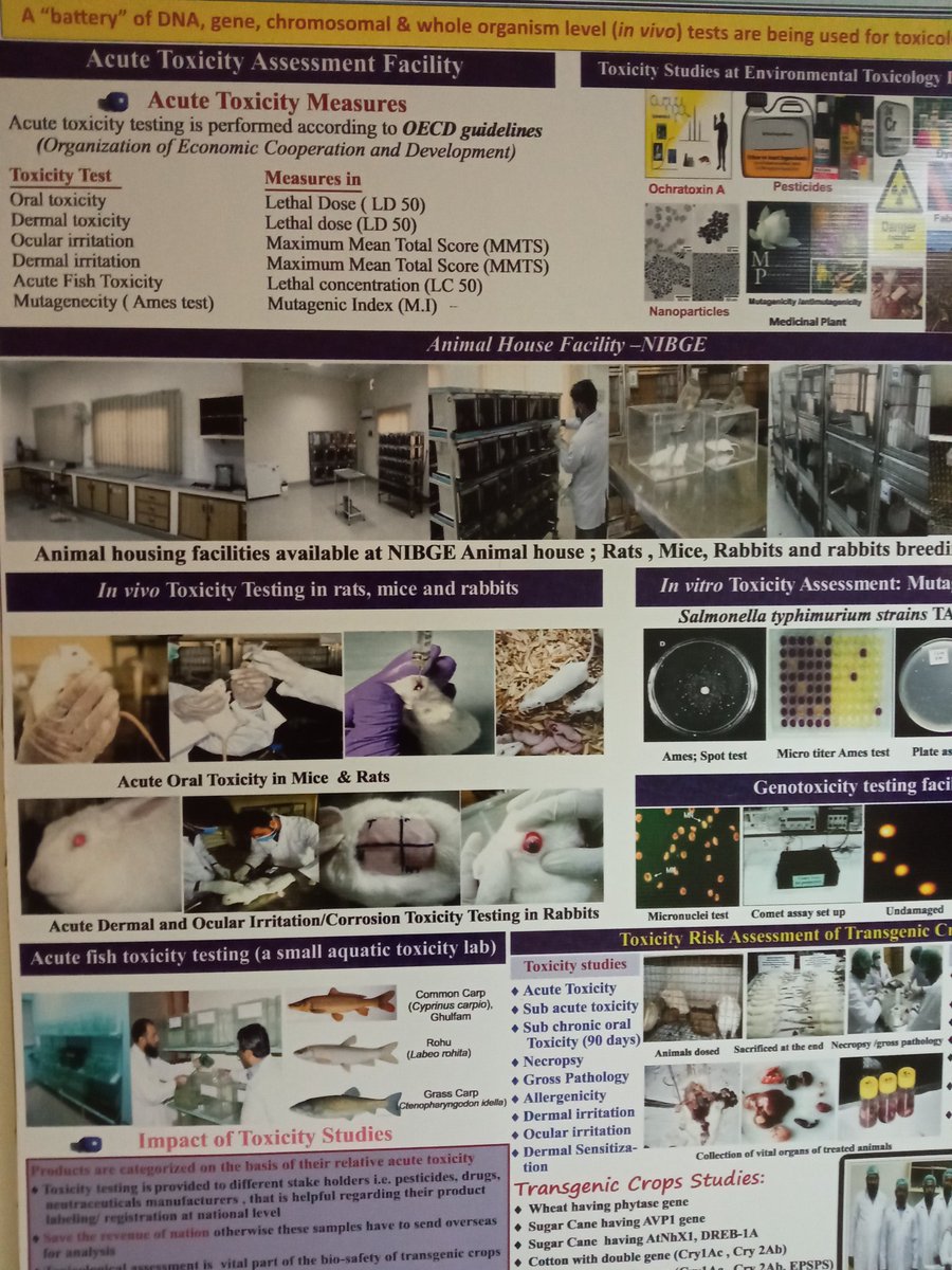 tabish_741's tweet photo. #Probiotics #microbiota
#NIBGE animal house facility https://t.co/vFkbjep28Y