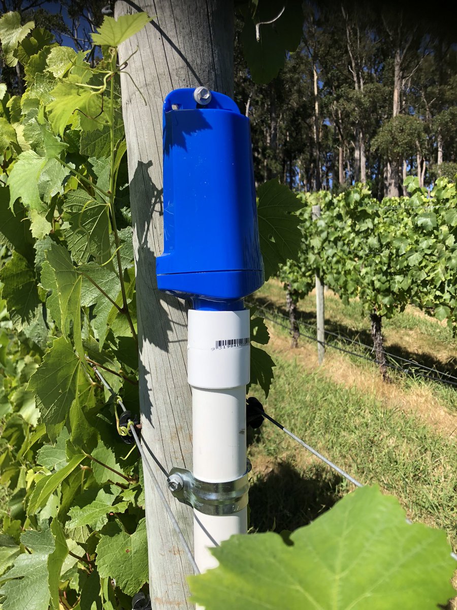 Josh Dennis tweet media