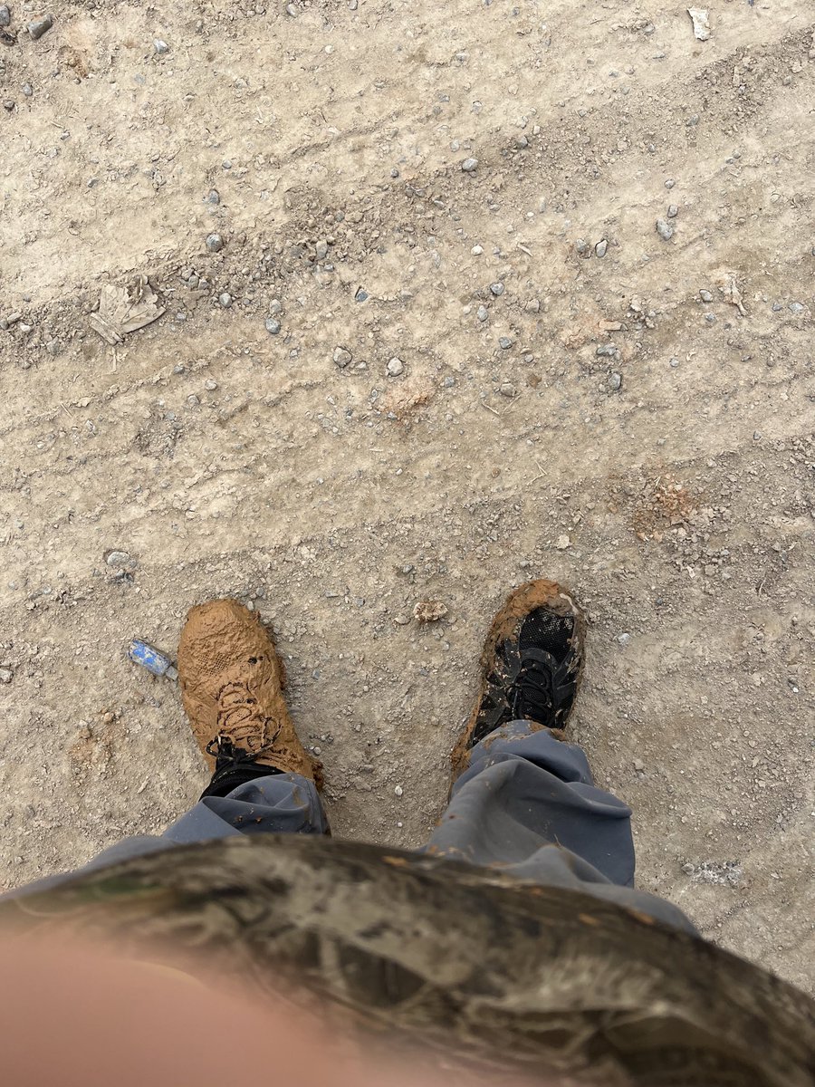 MoMs308's tweet image. How’s your Monday going?