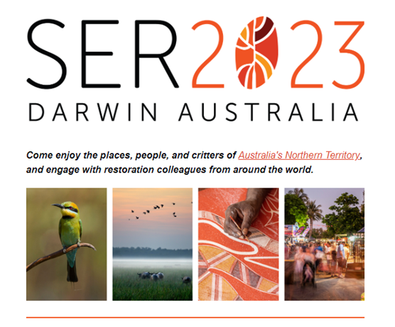 Nina N. Kaiser tweet media