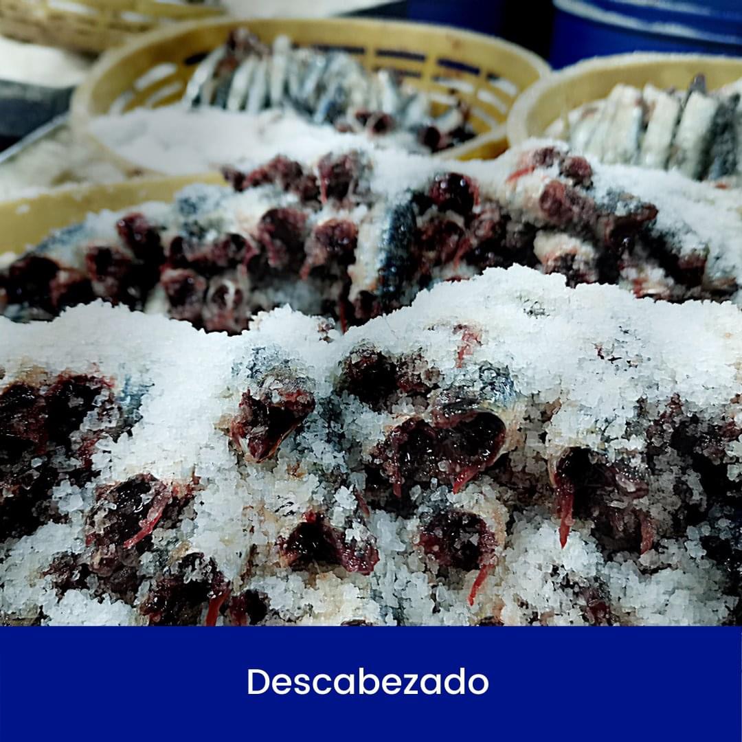 Pescalonja's tweet photo. Acompañando a nuestros promotores… hoy, SALAZONES MAR CANTÁBRICO.
Esta empresa recibió una ayuda del GAC Oriental para poner en marcha en Santoña una fábrica de salazón a través de la manipulación de pescado fresco sostenible del Cantábrico.
https://t.co/0iKdPVabej https://t.co/X24qLuijig