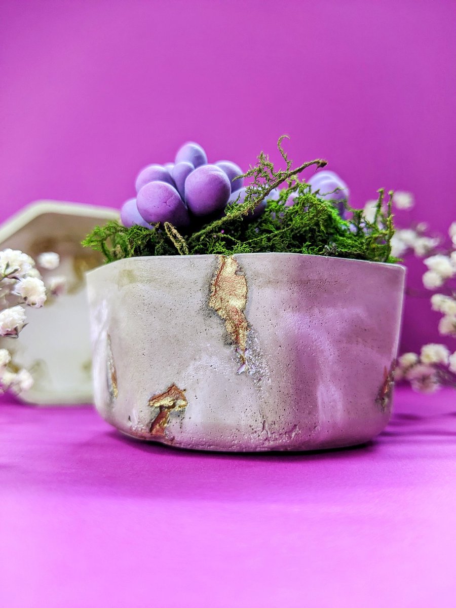 _HornedRabbit_'s tweet photo. 🪷🔸🪷🔸🪷

#flowers #cachepot #handmade #aesthetic #beauty #gypsum #hornedrabbitshop #decordesign #decor #homedecor #polymerclay  #style #interiorstyle #bee #beetheme https://t.co/15VQVnLxwy
