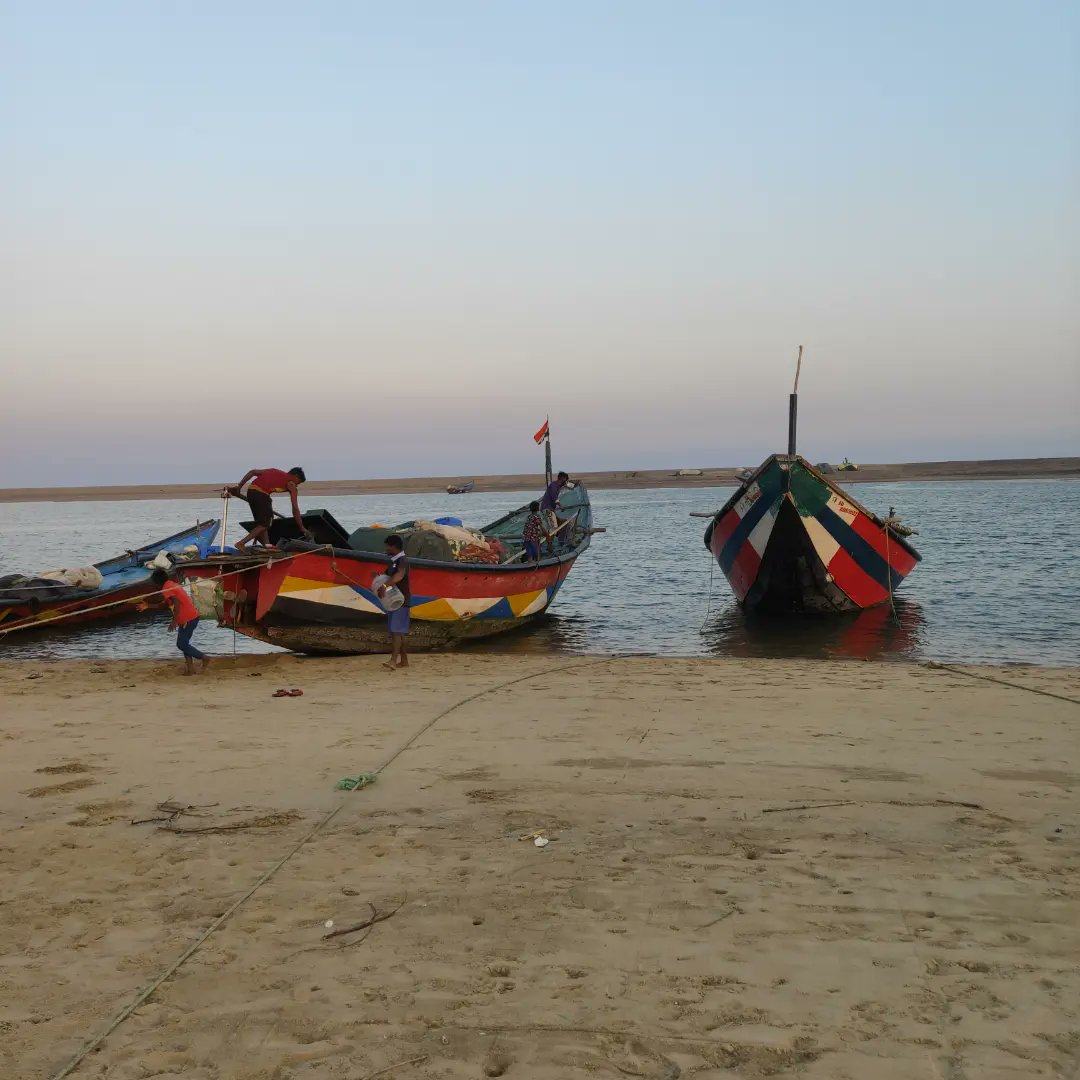 MoGanjam's tweet photo. Gokharkuda Sea Beach
Place - Puintola, Ganjam

#gokhakuda #seabeach #turtlebreeding
#ganjam #moganjam #oliveridley #odisha
#ganjamtourism #odishatourism #odishaclicks #Clickz https://t.co/eCqxeDKfaX