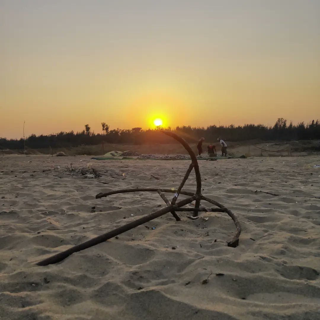 MoGanjam's tweet photo. Gokharkuda Sea Beach
Place - Puintola, Ganjam

#gokhakuda #seabeach #turtlebreeding
#ganjam #moganjam #oliveridley #odisha
#ganjamtourism #odishatourism #odishaclicks #Clickz https://t.co/eCqxeDKfaX
