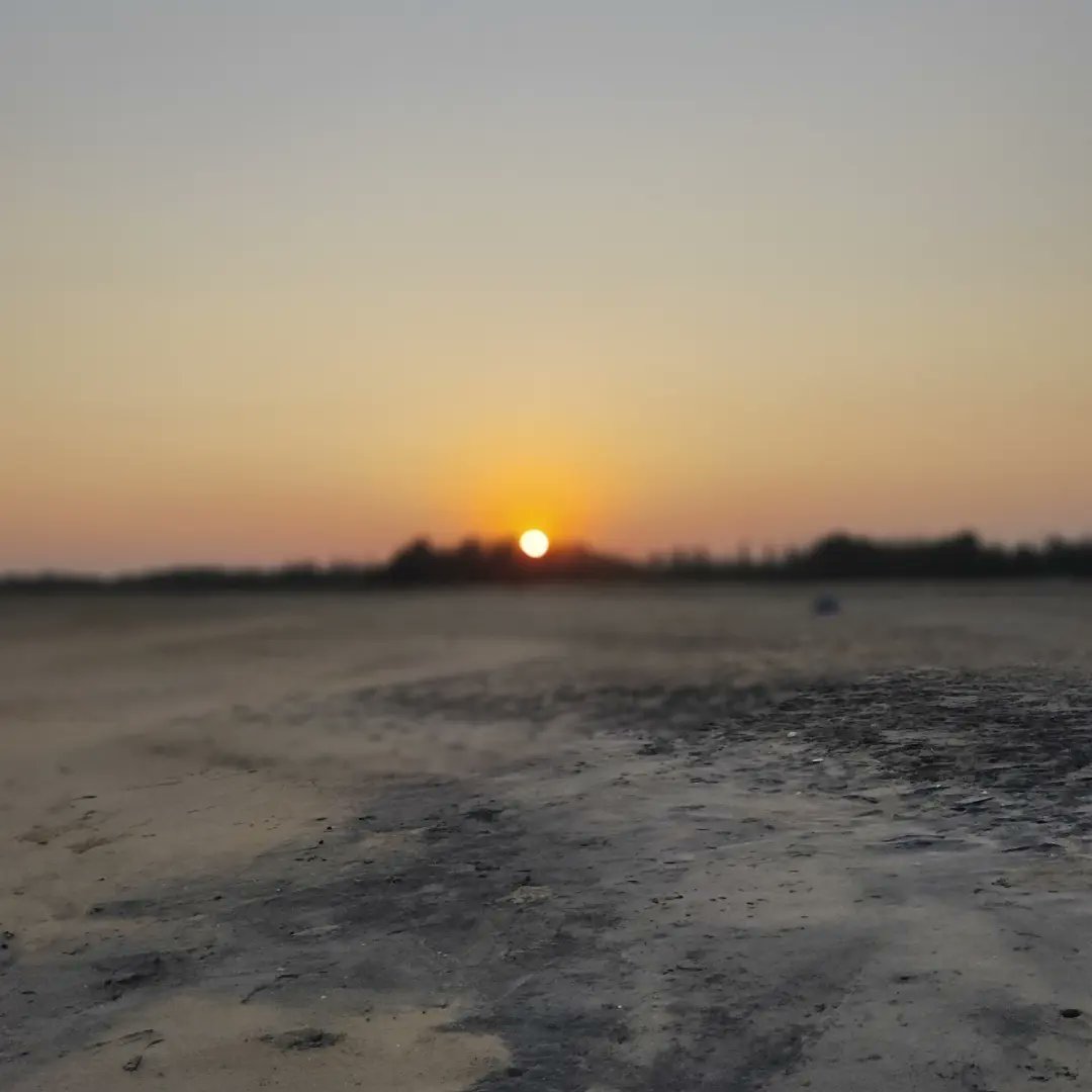 MoGanjam's tweet photo. Gokharkuda Sea Beach
Place - Puintola, Ganjam

#gokhakuda #seabeach #turtlebreeding
#ganjam #moganjam #oliveridley #odisha
#ganjamtourism #odishatourism #odishaclicks #Clickz https://t.co/eCqxeDKfaX