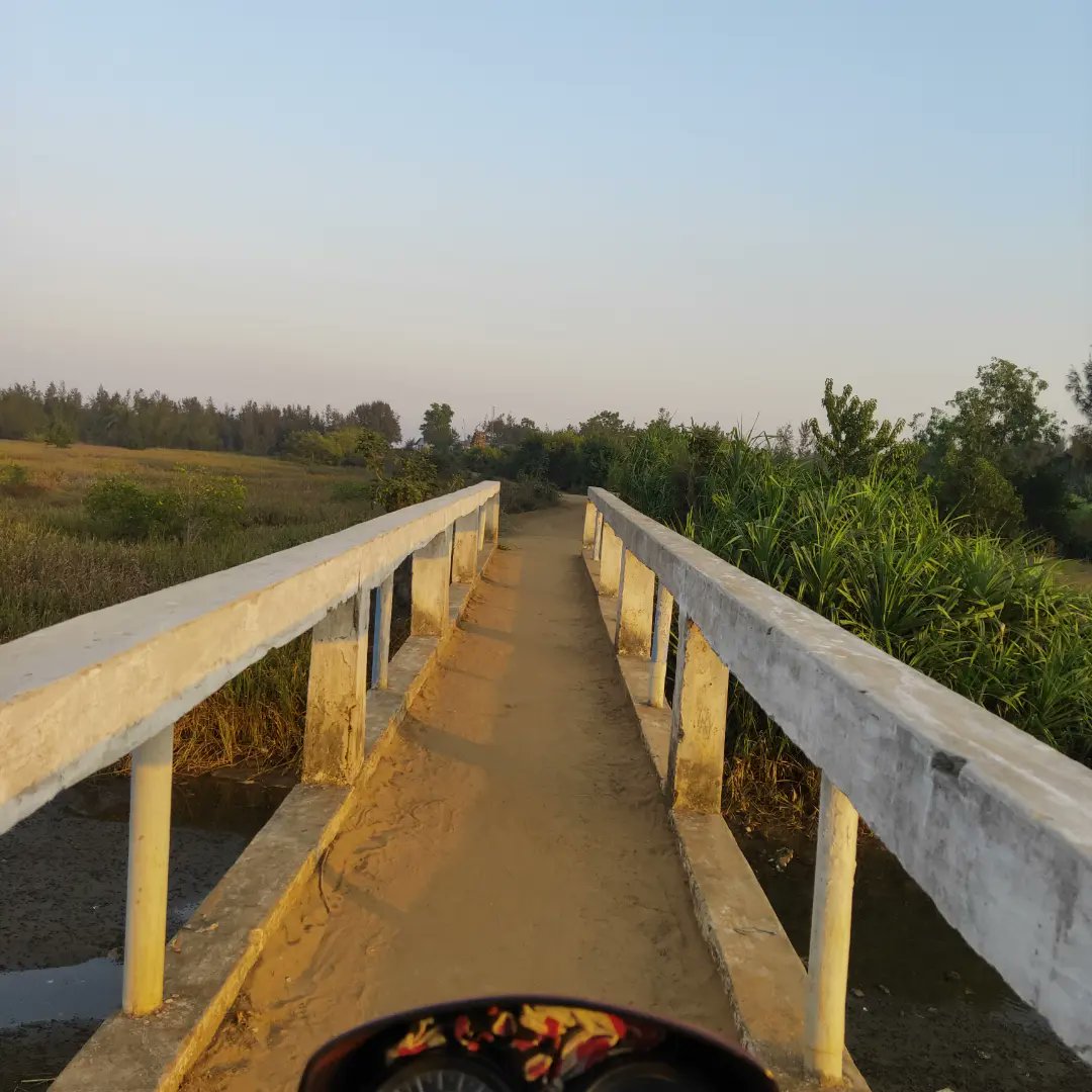 MoGanjam's tweet photo. Gokharkuda Sea Beach
Place - Puintola, Ganjam

#gokhakuda #seabeach #turtlebreeding
#ganjam #moganjam #oliveridley #odisha
#ganjamtourism #odishatourism #odishaclicks #Clickz https://t.co/eCqxeDKfaX