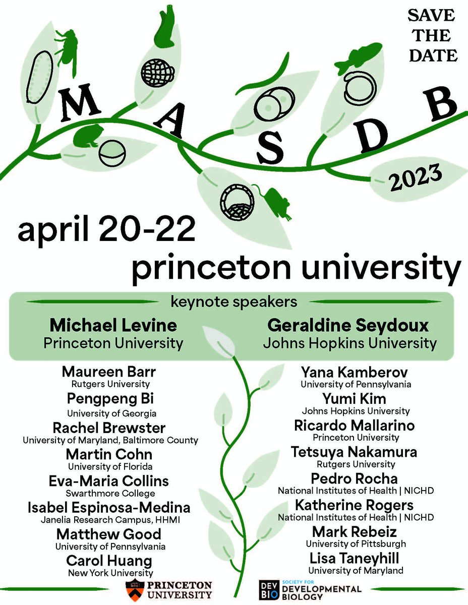 celestemnelson's tweet photo. And now with a poster! Look at that lineup! #MASDB @SocDevBio https://t.co/W0npYgXPJJ