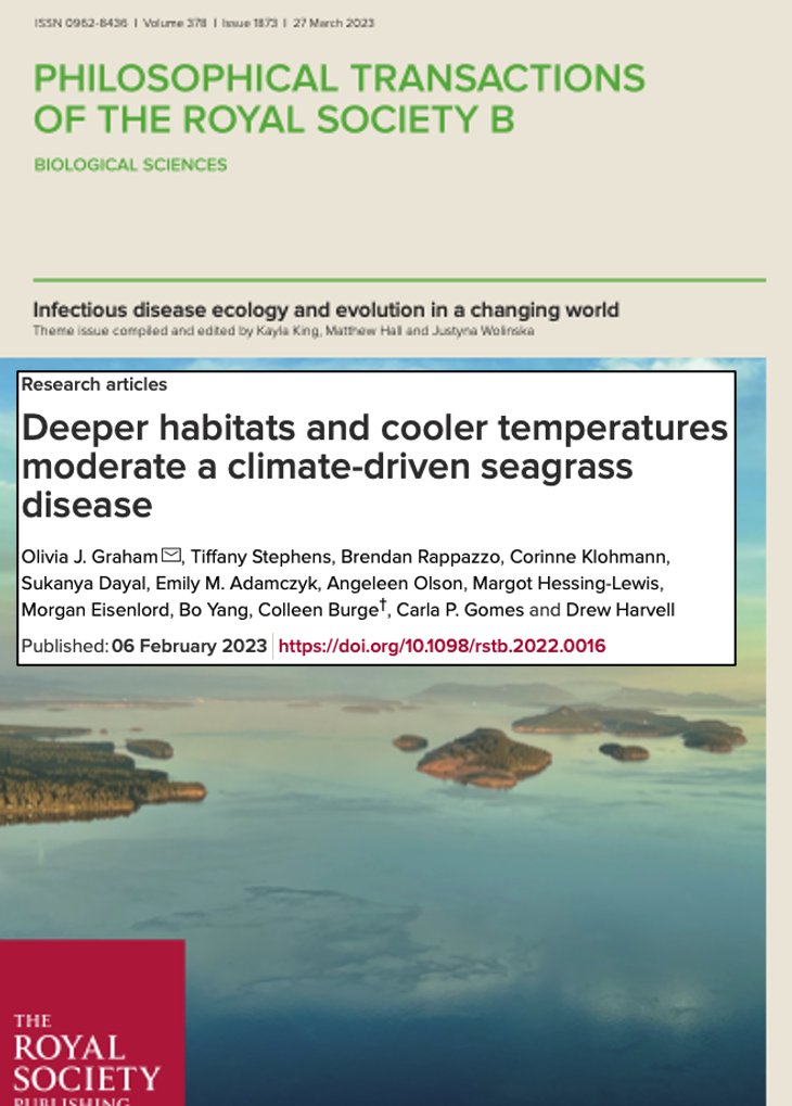 Beyond excited to share this #seagrass disease paper after 6+ yrs in the making!! 🌊🌱
 
Some of our takeaways (a 🧵):

(1/n)