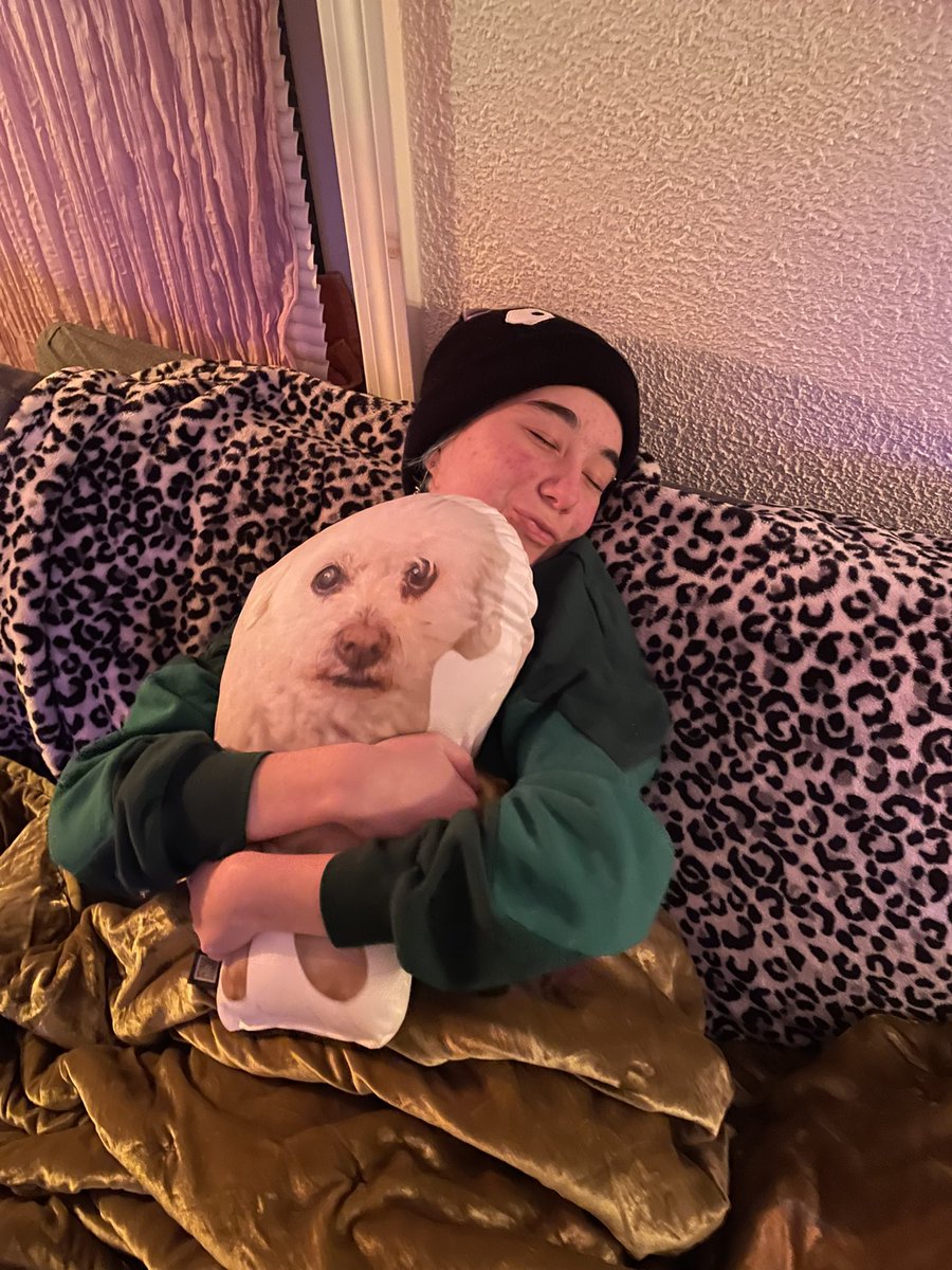 keelymartin33's tweet photo. Stevie’s settling into the apartment just fine https://t.co/Kb1AH8iL95