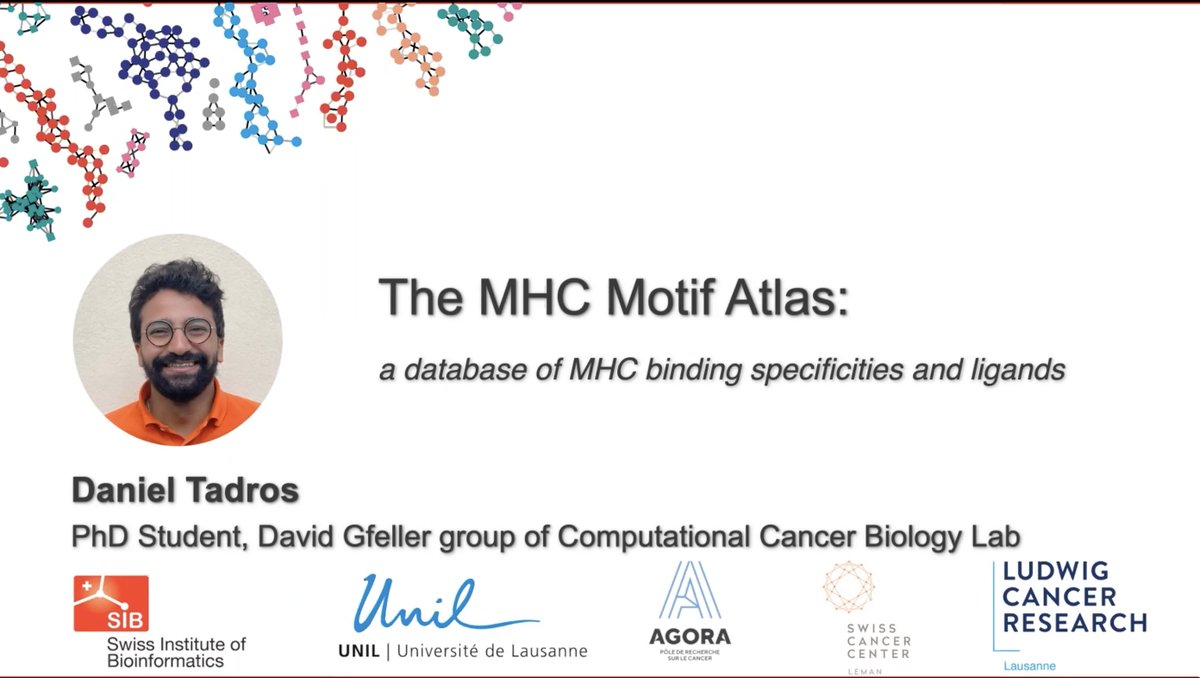 In the latest #insilicotalks, watch Daniel Tadros present the MHC Motif Atlas, a database to visualize and interpret #MHC binding specificities and ligands. 

A must-watch for all interested in cancer immunotherapy and vaccine design! 

▶️ tinyurl.com/2mphzh7w #Bioinformatics