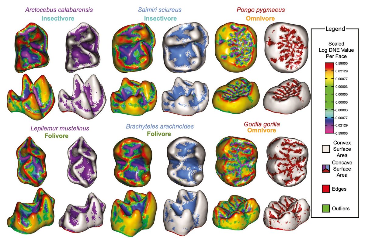 Darin Croft tweet media