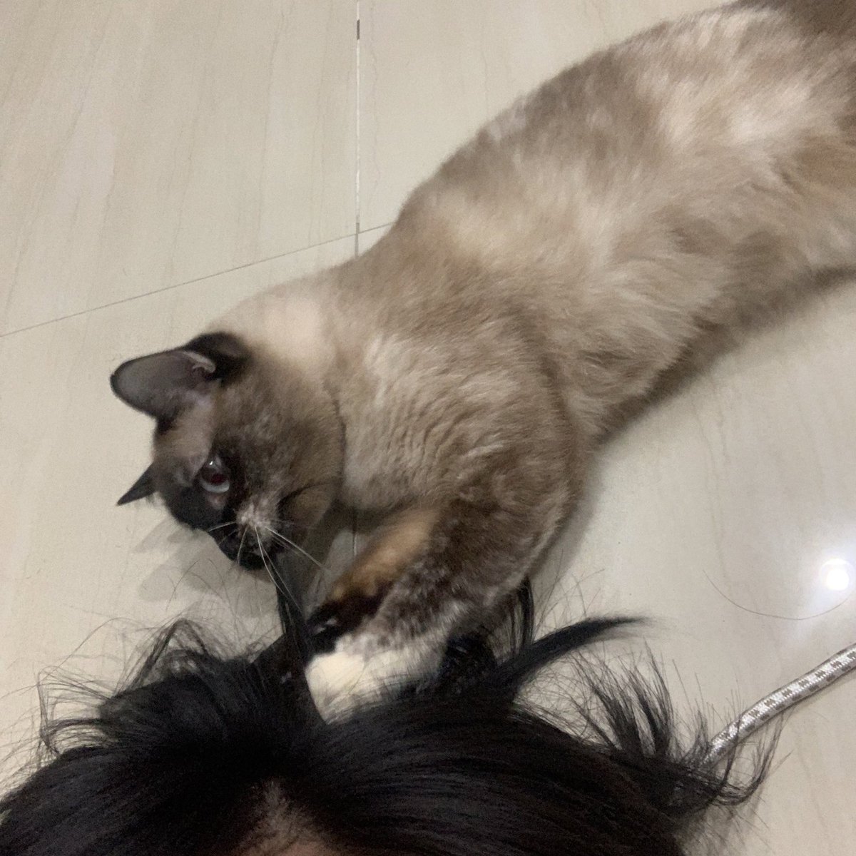 ลี๊ทตัวปลอม tweet media
