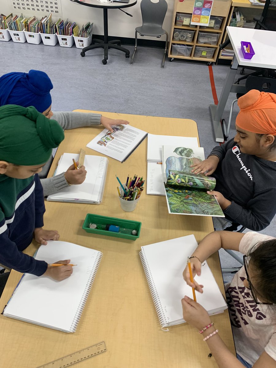 Grade 2 Buffalo Rubbing Stone School CBE tweet media