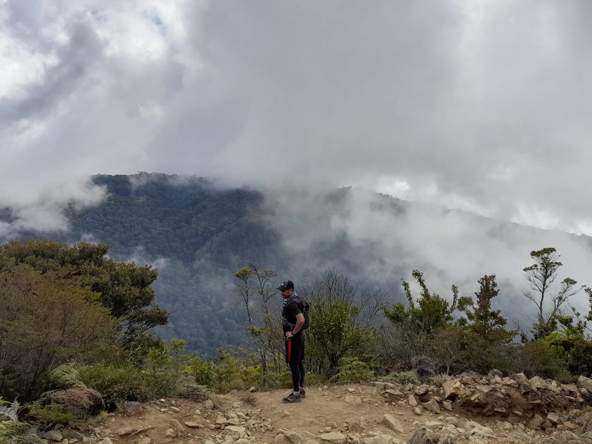 Dry season sampling at our páramo site in Chirripó. One-day hike of 45 km (28 miles), +2850 m, 9.5 hrs. Lake, spring, and stream water samples collected.