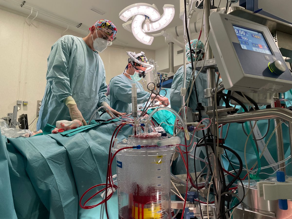 CanalMalagaRTV's tweet photo. 🏥Profesionales del @HRegionalMalaga realizan la cirugía extracorpórea número 10.000

▶️El responsable del servicio, Enrique Ruiz,  explica que la circulación extracorpórea es la tecnología que hace posible operar a los pacientes del corazón https://t.co/uu5hChai6K